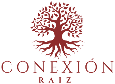 Conexión Raíz